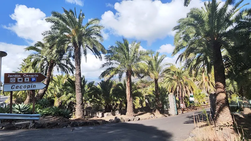 Parking Jardín Botánico Canario Viera y Clavijo - Aparcamiento público en Palmas de Gran Canaria (Las) - foto 2