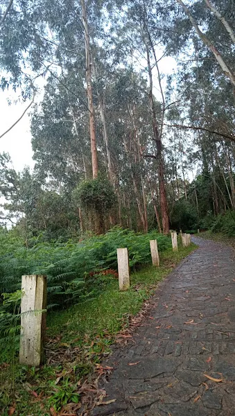 Aparcamiento Alto La Ñora
